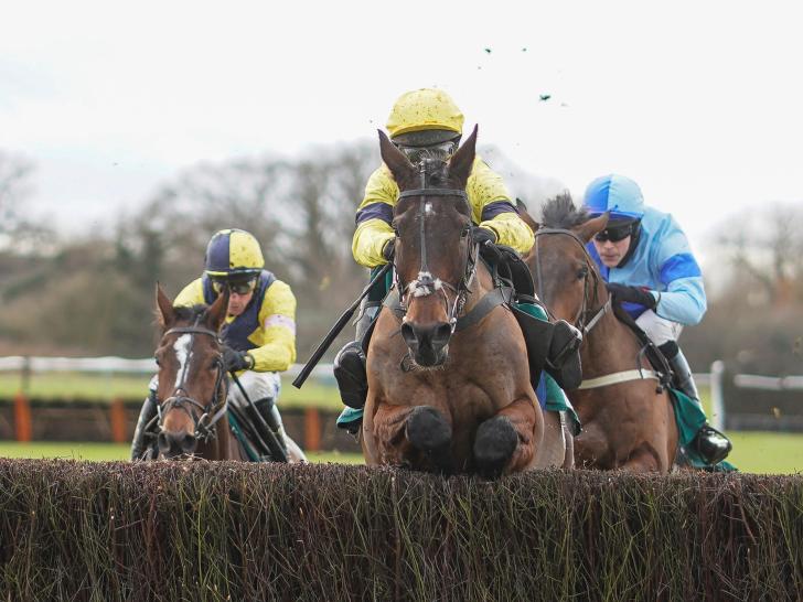Cheltenham Countdown: Energumene looks top notch in Naas workout